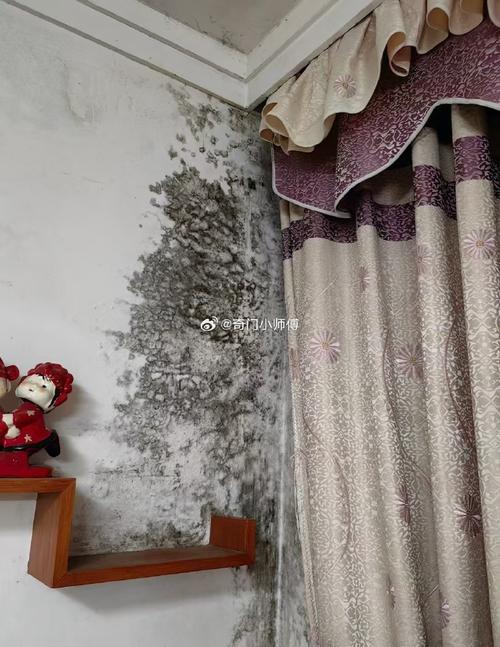 发霉房子对风水有何具体影响？
