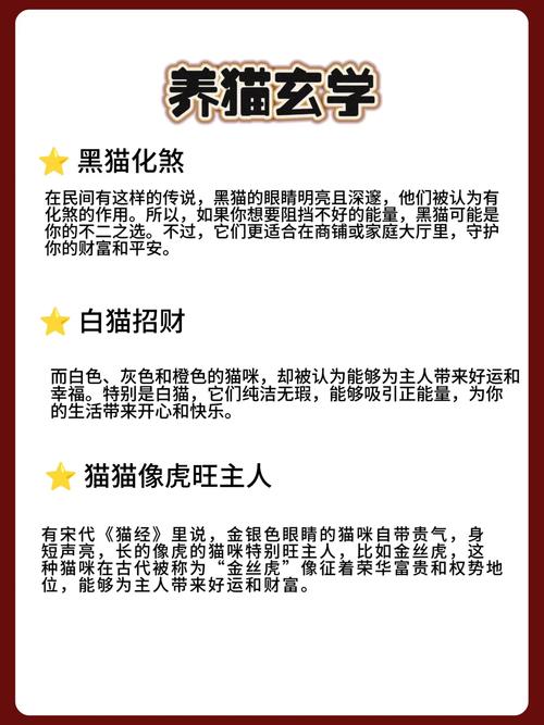 养猫真的嫩对家居风水产生积极影响吗？