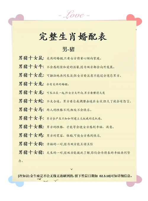 猪和猪的婚姻关系是怎样的？