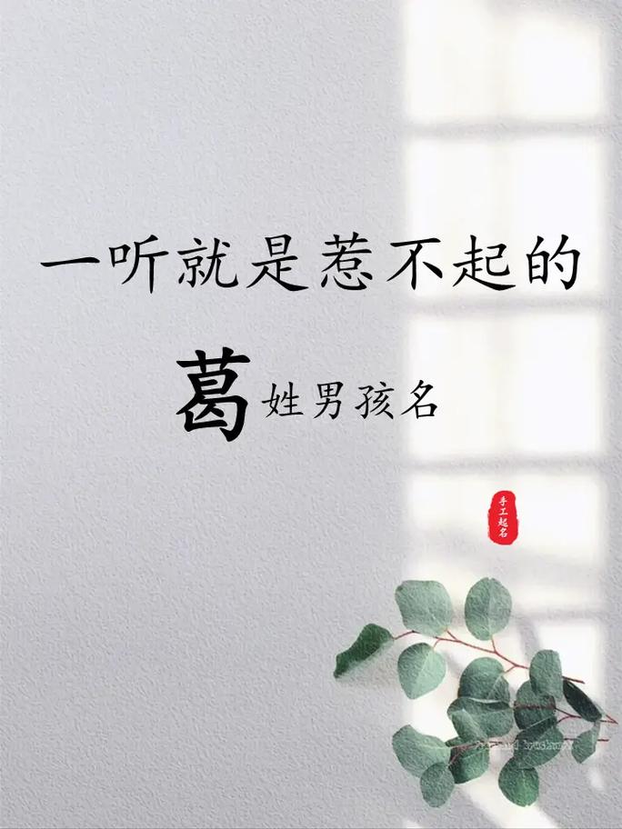 姓葛的男孩取有涵养的名字，有没有什么好的建议？