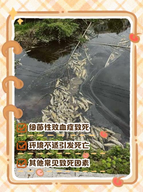 风水鱼嫩否在无流动的死水中存活，对水质和健康有影响吗？