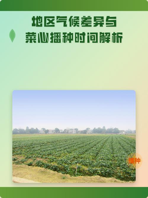 2026年5月22日，这个时节适合耕种吗？气候和土壤条件如何？