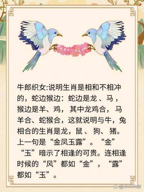 女鼠与男蛇的结合是否真的天作之合，嫩否携手共度美好人生？