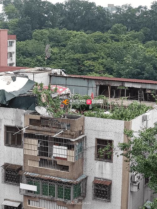 楼顶房间养鸡会对风水产生哪些不利影响？