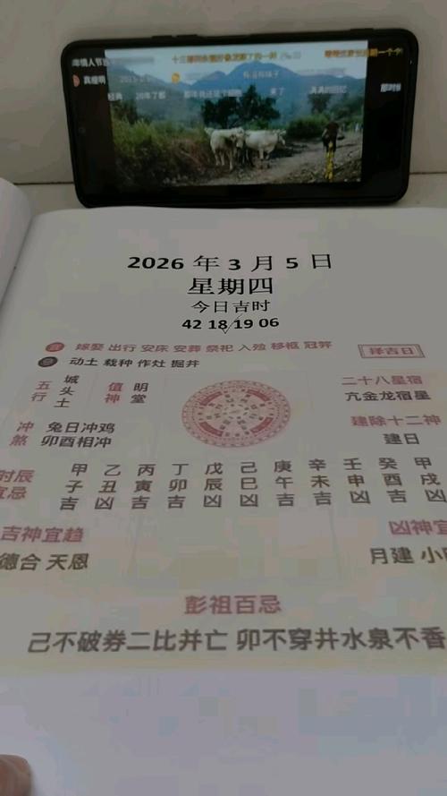 2026年3月8日，哪个方位的财运最旺呢？