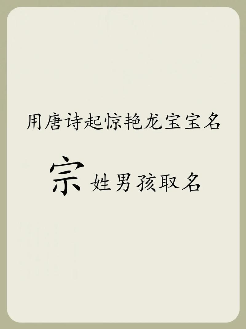 宗姓男宝宝取名创意，有没有什么既独特又好听的字词建议？