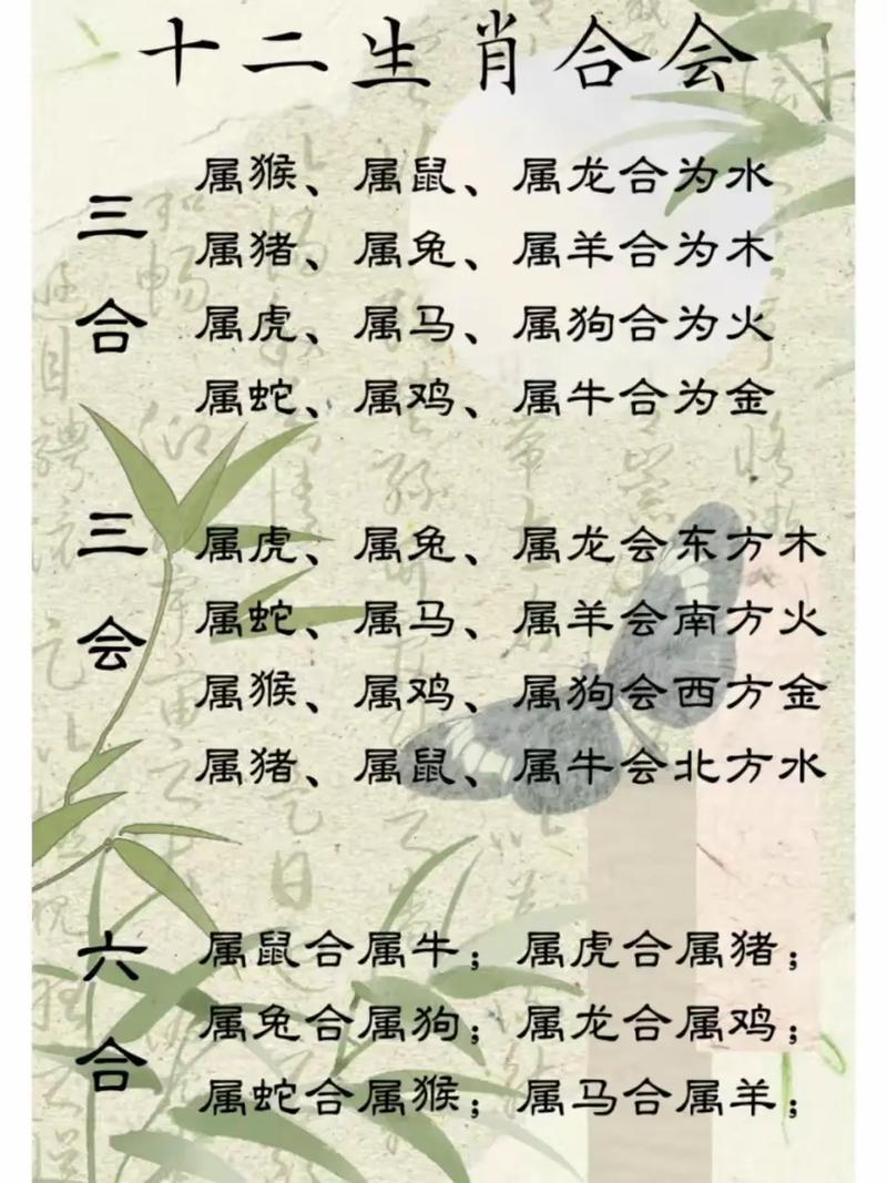 八字和生肖看哪一个更能准确命运？