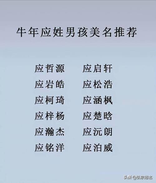 应姓气质男孩名字叫什么？有没有什么寓意深刻的好名字推荐？