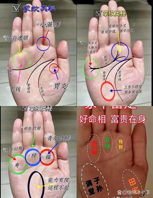 手掌纹路究竟预示着哪些独特的命格特征？
