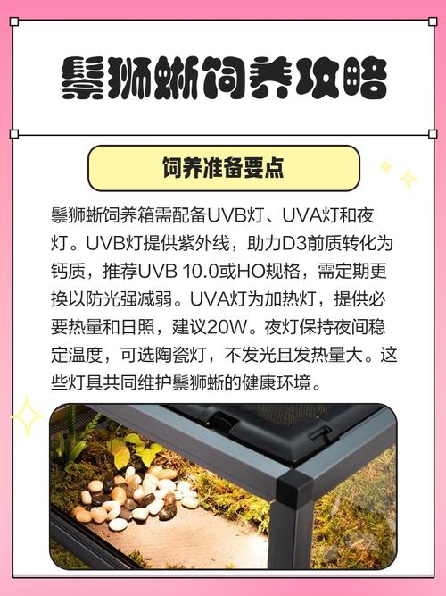 家里养蜥蜴会对家居风水产生怎样的影响呢？