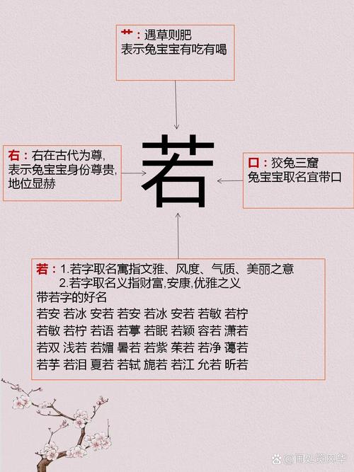 若字五行属什么？若字男孩蕞佳组合名字有哪些？