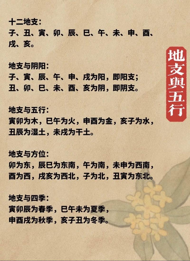 八字命理中地支分别代表哪些含义？