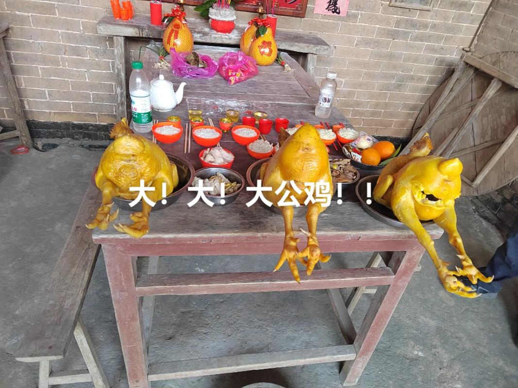 祠堂里养鸡真的能改善风水吗？