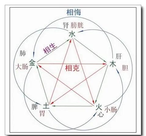中医与命理学之间究竟有何紧密联系？