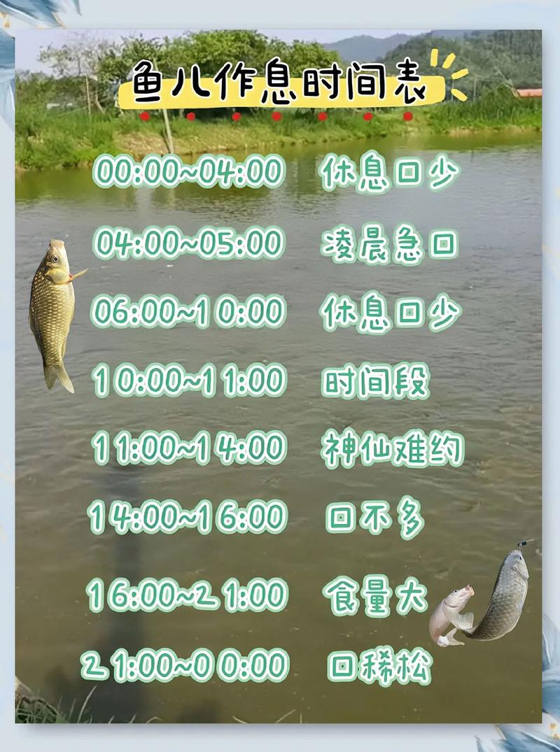 2025年12月28日黄历上适合钓鱼吗？
