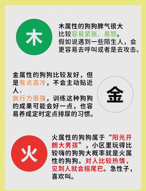 属狗的属相对应什么命？狗的五行属性是什么？
