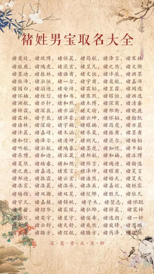 褚姓女孩名字中哪个既优美又大方？