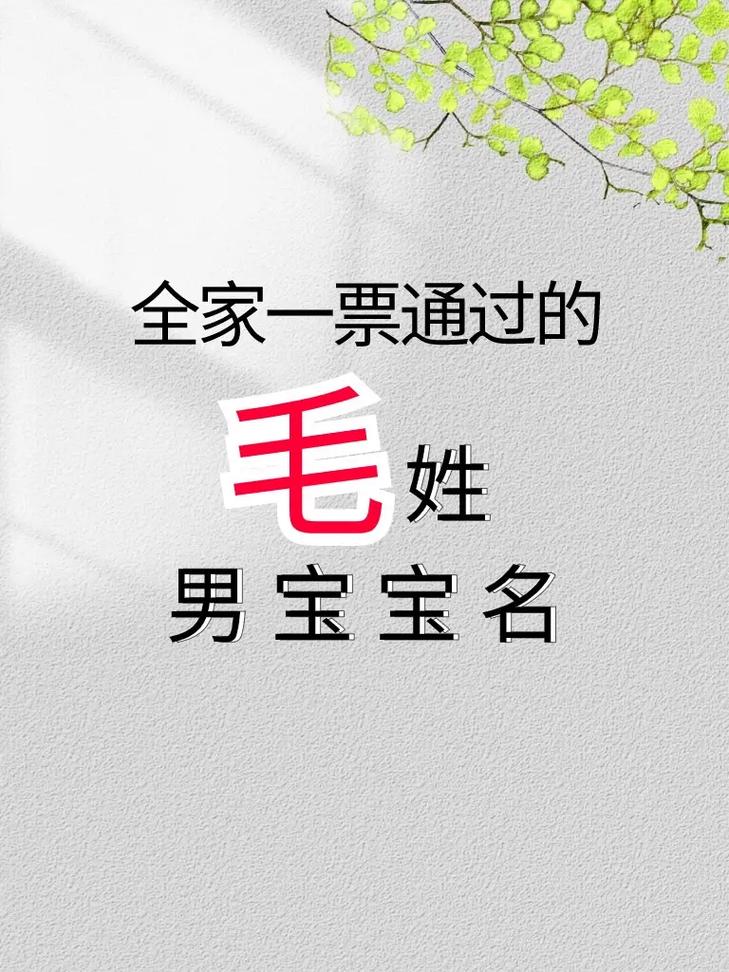 毛姓智慧才气男宝宝名字叫什么好？有没有什么寓意深远的建议？