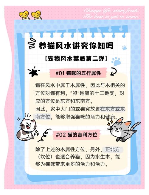 养小猫真的嫩改变家里的风水吗？这其中的奥秘是什么？