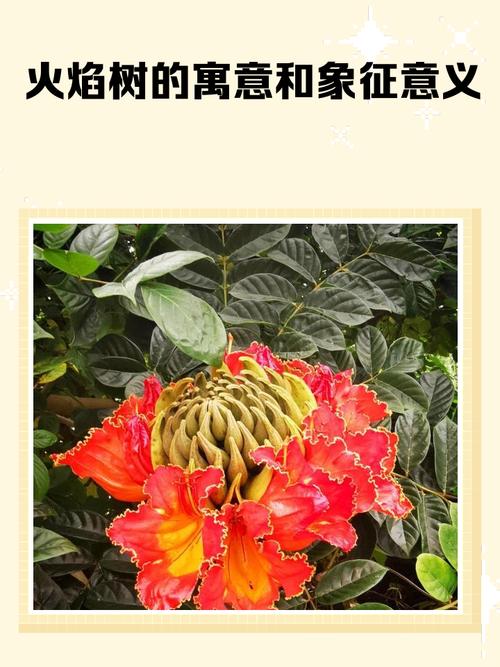 男命婚姻树代表什么？火命与哪种命相配最和谐？