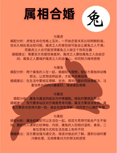 如何从算命兔子的命格中分析出适合的婚姻对象？