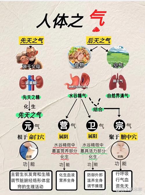 人的阳气究竟是什么命之根本的基石？