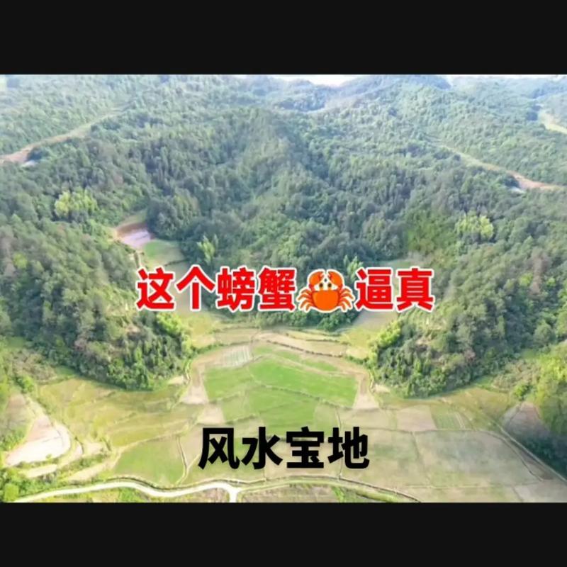 这处螃蟹风水地，难道是传说中的地龙宝地吗？