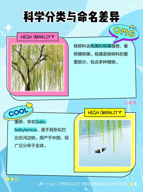 杨柳命与松柏命有何不同？杨柳木命属几等命？