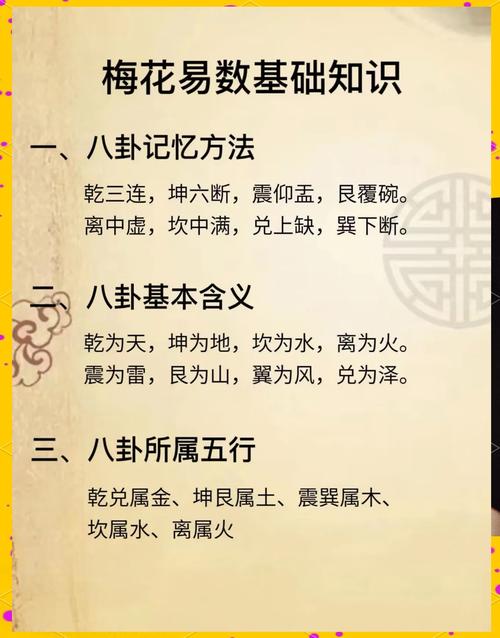 我的八字梅花命究竟是什么意思，能否详细解释一下？
