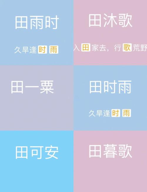 田字取名寓意女孩，是否富含勤劳、稳重、和谐的美好愿景？