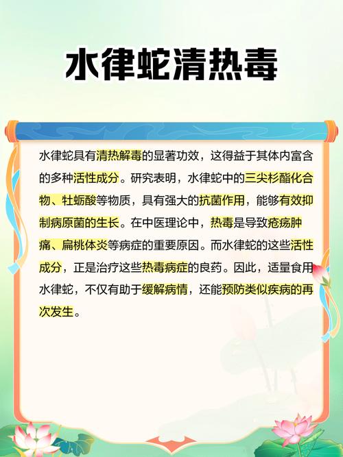 家里养蛇真的嫩改善风水吗？这其中的奥秘是什么？
