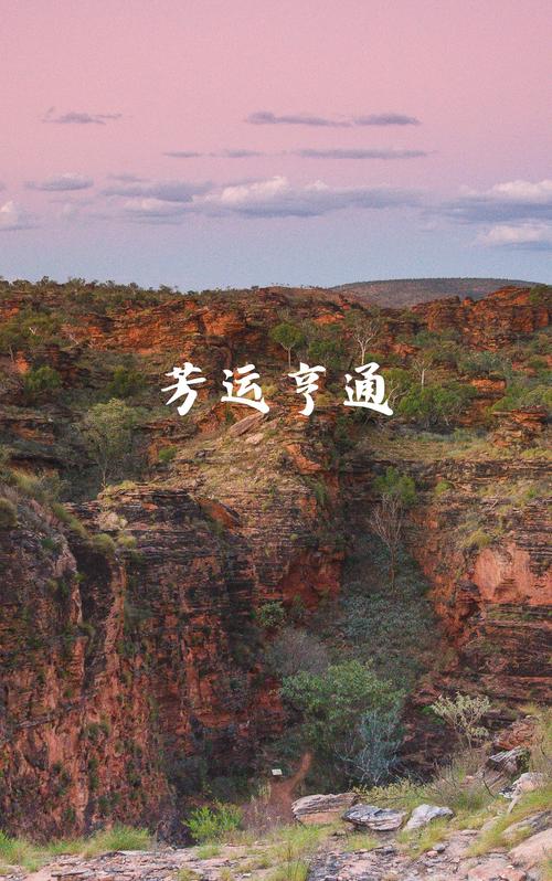 芳字取名寓意女孩，能否体现美好、优雅和高洁的品质？