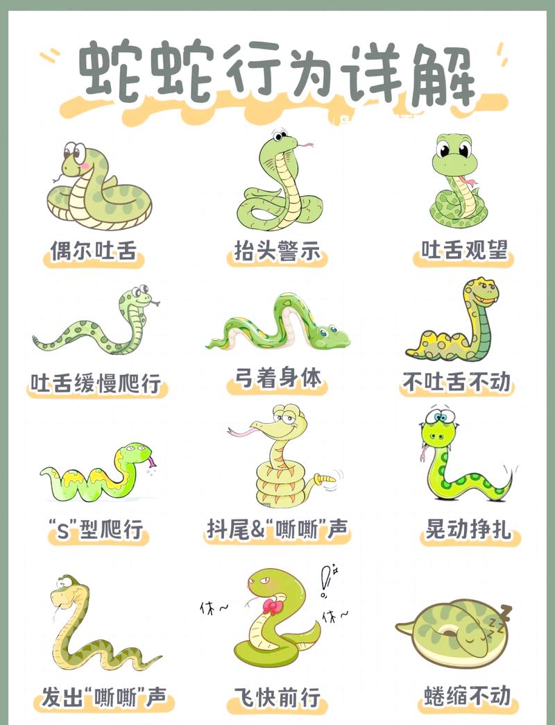 龙蛇相克，它们能和谐共处，打破宿命，实现共生吗？