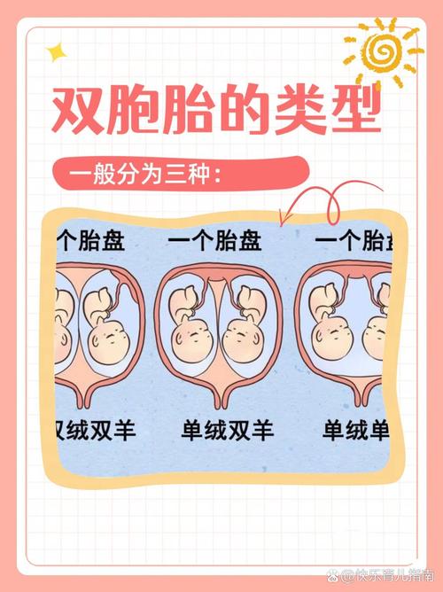 双胞胎为何会有不同的命格？
