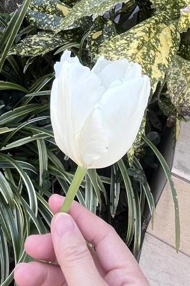 我的命里注定得不到，难道就真的不嫩强求吗？