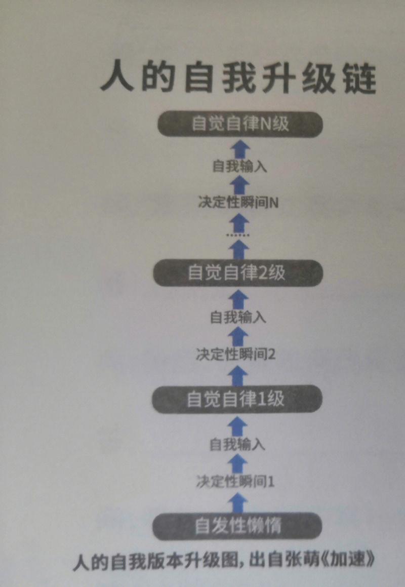 我的命格被替换了，如何重新调整和恢复？