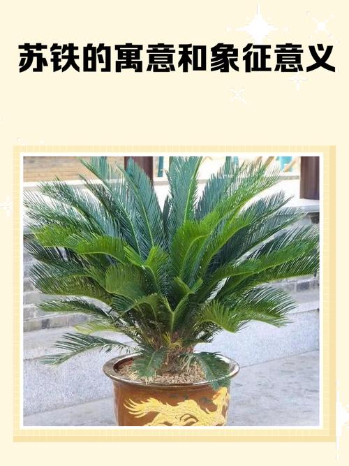 家里摆放铁块会对风水产生怎样的影响呢？