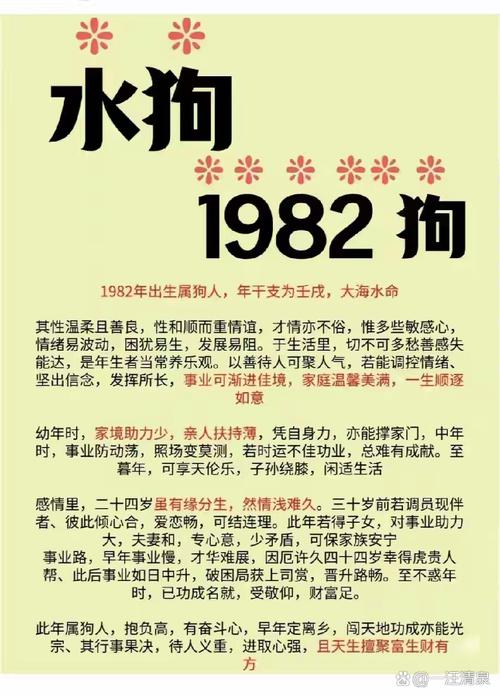 1982年属狗女性最适合的丈夫是什么样的？