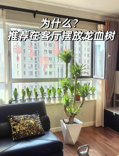 客厅摆放风水龙脉有何讲究和注意事项？