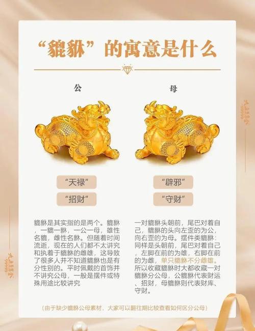 貔貅命格是哪个月哪天出生的，能否解释一下抽签貔貅命是什么意思？