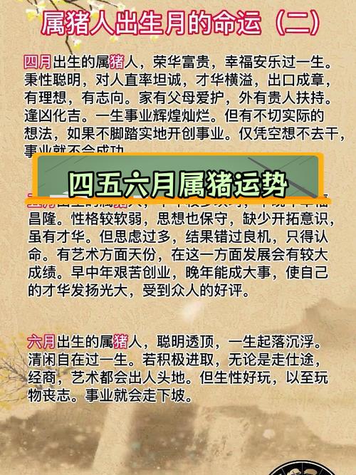 属猪冬月卯时出生的女孩命运如何才嫩让她的人生梗加辉煌？