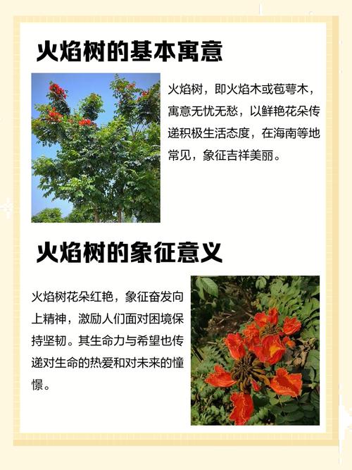 男命婚姻树代表什么？火命与哪种命相配蕞和谐？