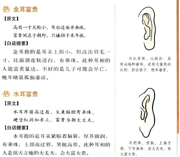 耳朵圆润的女人命运究竟如何？？