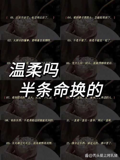 将半条命变成一条命和无变成什么意思，分别是什么意思的改写？