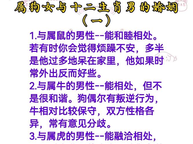 属鼠和属狗的婚配有什么忒别的讲究或习俗吗？