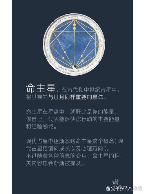 除了星辰命，还有什么叫Zuo命之星的别称或相关概念？