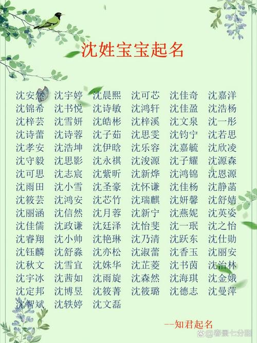如何给有智慧才气的沈姓男宝宝取一个既文雅又富有内涵的名字呢？