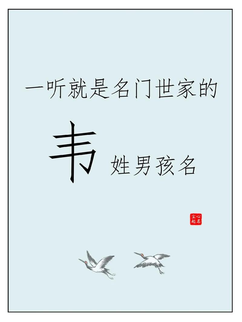 韦姓男孩名字有哪些新颖独特的选择？