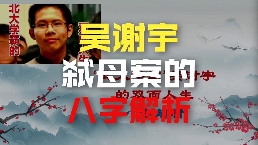 吴谢宇八字命格分析中，哪些细节揭示了其性格命运的关键因素？