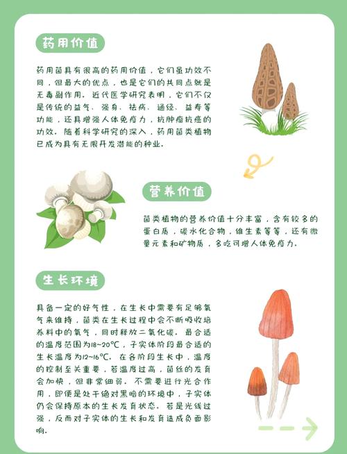 女孩用菌字取名，寓意着纯洁、生机，这样的名字有什么美好寓意？